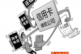 涉县融资清欠服务